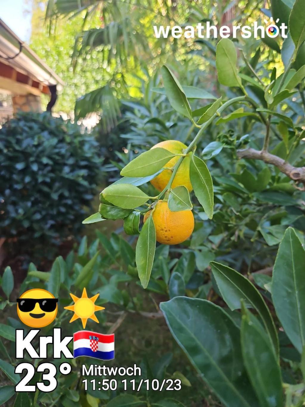 Villa Androcec Zgaljic Kültér fotó
